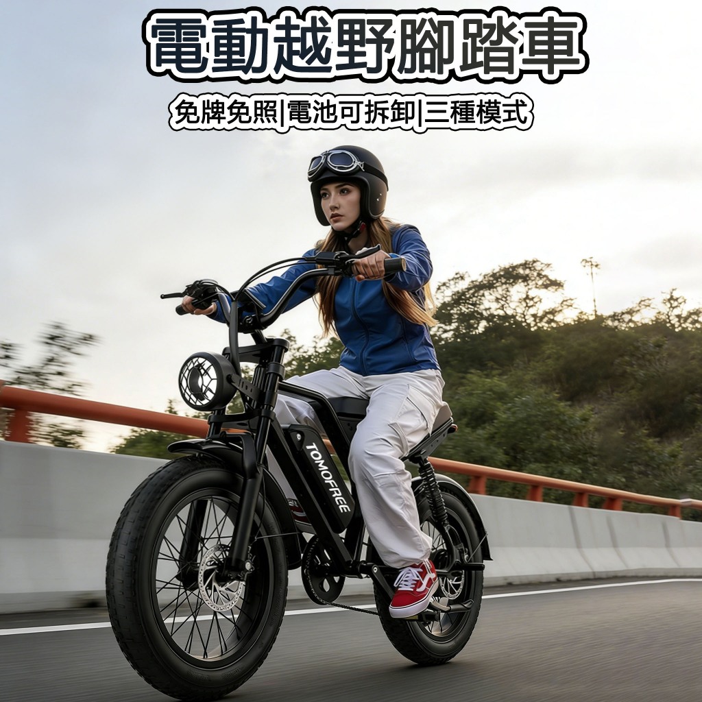 新款越野電動自行車 山地復古電動腳踏車 鋰電池助力自行車 電動胖胎車 電動腳踏車 電動山地自行車 越野登山 都會通勤