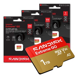 SANDISK Extreme GO 256G 512G 1TB microSDXC U3 UHS-I V30 記憶卡