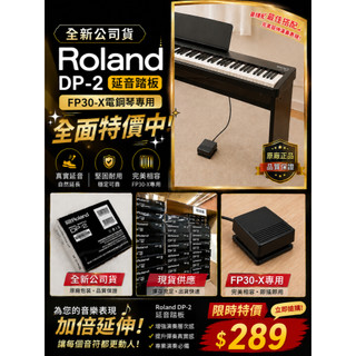 小新樂器館 | Roland DP-2 DP2 延音踏板 FP30X fp30-x 電鋼琴 電子琴 可用 樂蘭公司貨