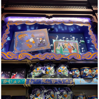 預購🇭🇰香港迪士尼 音樂盒 冰雪奇緣 小美人魚 美女與野獸 阿拉丁 彼得潘 玩具總動員 獅子王 可可夜總會 天外奇蹟