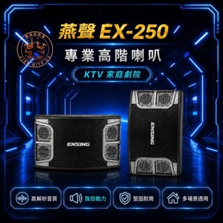 樂淘派對屋 ENSING EX-250 10吋喇叭 專業級 家庭劇院 卡拉OK 懸吊式喇叭 低音喇叭 三音路三單體