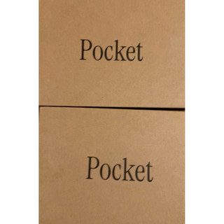 POCKET AI 錄音筆 灰