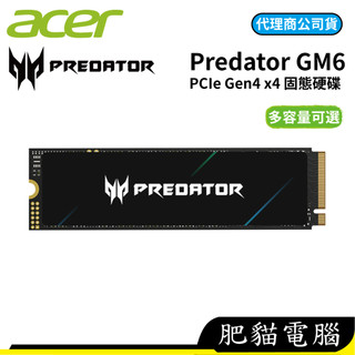 Acer 宏碁 Predator GM6 1TB 2TB 4TB PCIe Gen4 M.2 SSD固態硬碟