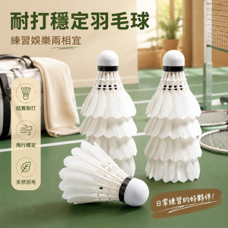 羽毛球✨【12只裝耐打小金剛】 羽毛球耐打正品防風耐打12只裝室內羽毛學生室外比賽訓練用球 羽毛球 耐打一入12個