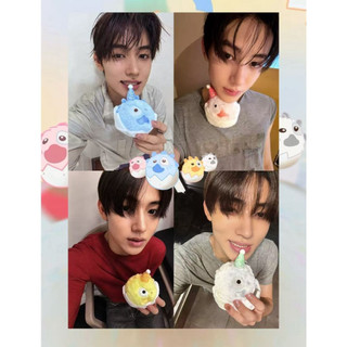 正版🎇cortis ball小卡 嚴成玹ball小卡 四色ball球專小卡 ball專輯小卡 SEONGHYEON小卡