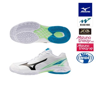 MIZUNO 美津濃 WAVE CLAW 4 男女款 寬楦 羽球鞋 71GA264314