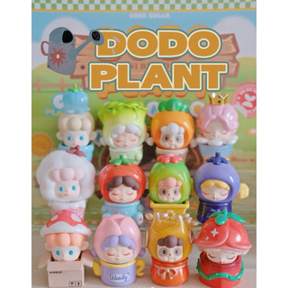 DODO 植物園 正版 盲盒 公仔 二手 PANCY WENDY NAMI JENNY