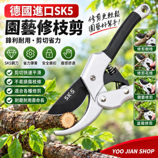 台灣出貨 SK5園藝修枝剪 省力修枝剪 果樹剪 園藝剪刀 花枝剪 樹枝剪 果枝剪 盆栽修剪工具 園藝工具剪刀