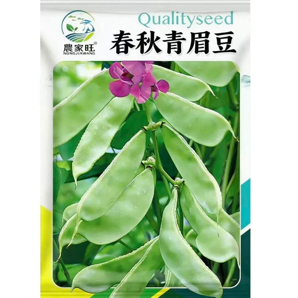 臺灣青仁黑豆種子 青眉豆原生種 電鍋煮燉湯食材 自種有機黑豆 盆栽菜園適種 非基改可留種 豐產易栽培 家庭農耕