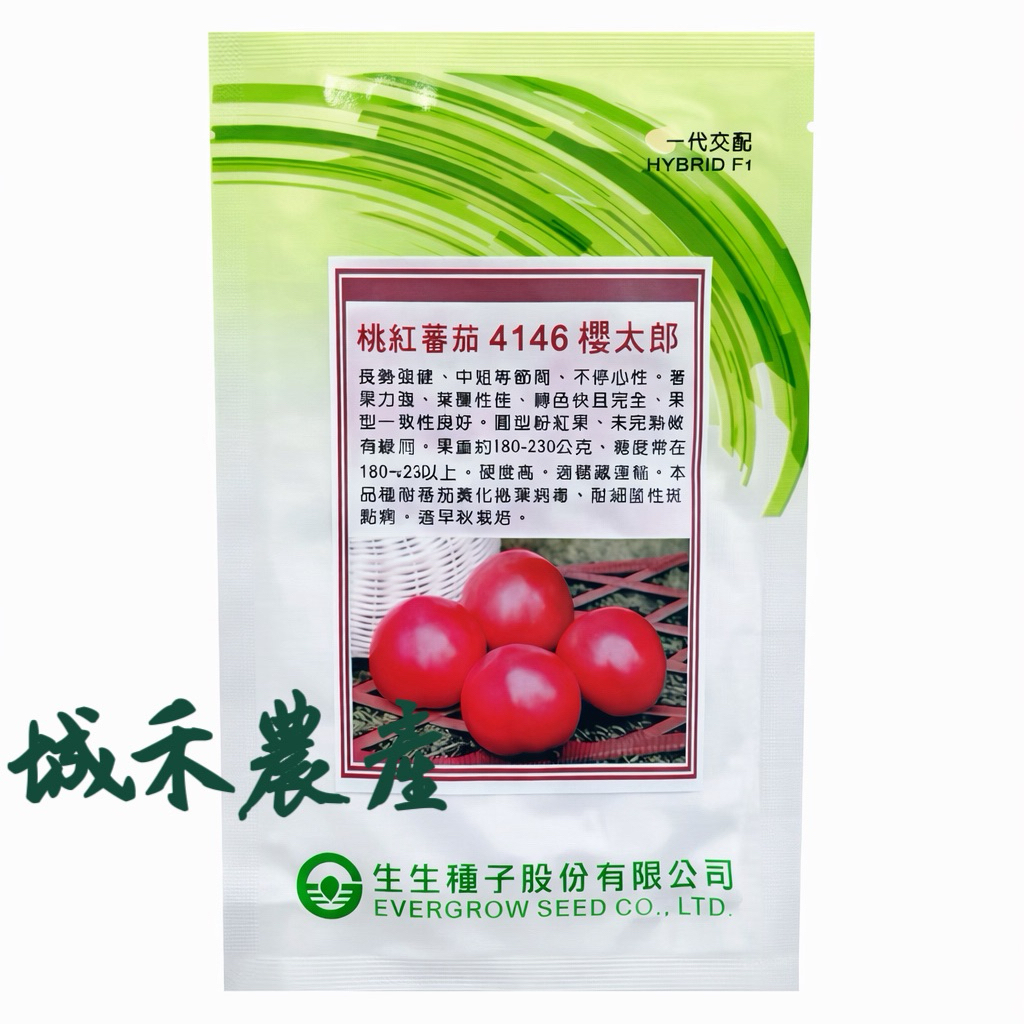 原包裝 1000粒 櫻太郎番茄種子 桃太郎番茄種子 櫻太郎番茄種子 大桃太郎番茄種子 中番茄種子 櫻桃番茄種子 蕃茄種子