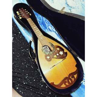 Suzuki No.201 全單 曼陀鈴 Mandolin 日廠手工琴