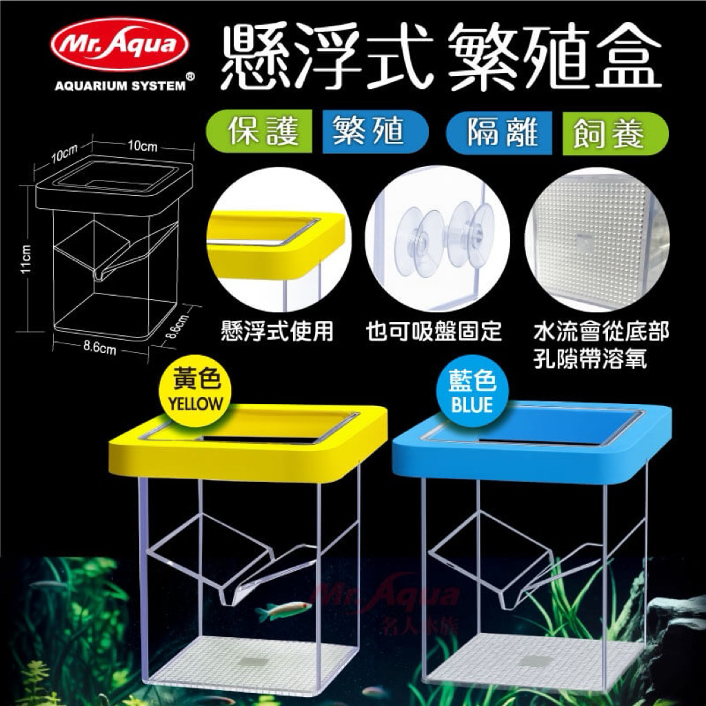 【沅均水族】 MR.AQUA 水族先生 懸浮式繁殖盒｜魚苗保護 隔離盒 產卵盒 孵化箱 孔雀魚 鬥魚 幼魚飼養 魚缸配件