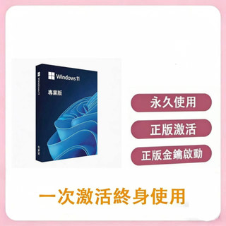 【現貨當天出貨 】windows 11專業版 家用版 彩盒 序號 Win10 Pro專業版 永久買斷版 盒裝