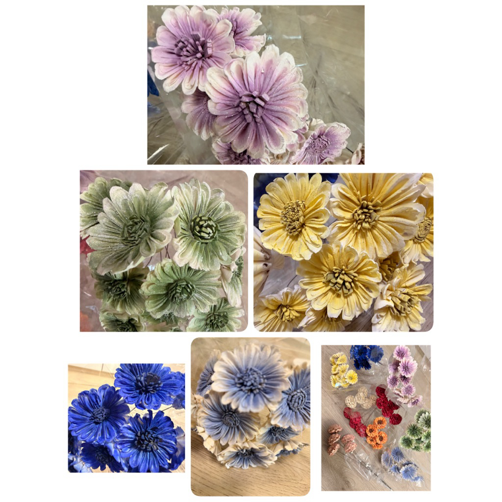 #JM花草夢 竹北#超美漸層色索拉兔耳菊#兔耳索拉菊#滿399出貨#索拉玫瑰#不凋花課程#獨家