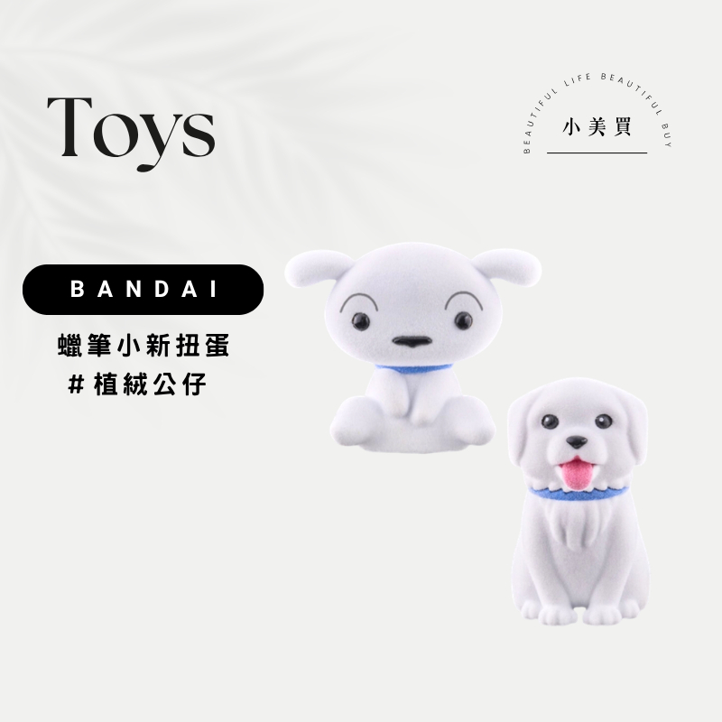 小美買🌹現貨 BANDAI 轉蛋  蠟筆小新扭蛋 扭蛋 蠟筆小新 好多 小白 植絨公仔 小白 小新 小葵 植絨 公仔