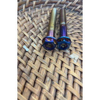 SOMOTO GogoroS2原廠卡鉗 鍍鈦螺絲 M10*75