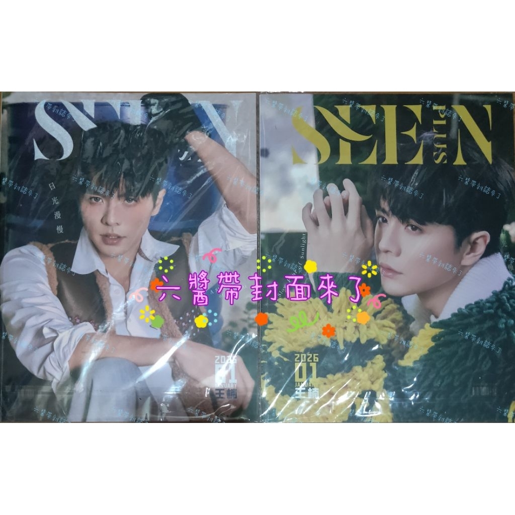 六醬書架有→ 王楠 :日光漫慢 SEEIN PLUS 實體雜誌 設計版 封面人物 抖🎶短劇演員男主角