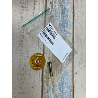 【飆速宅男】Öhlins 金色版龍頭上蓋｜1-1/8" Ahead Top Cap｜附固定螺絲｜自行車龍頭上蓋