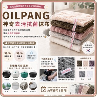 現貨秒出 OILPANG 神奇去污抗菌抹布 顏色隨機 抑菌 除臭 不卡油 不卡髒污 不卡異味