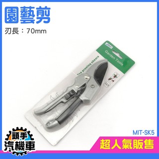 修枝剪刀 修枝剪 防滑園藝剪 省力修枝剪 花木修枝剪 花園剪刀 修剪工具 花卉修剪工具 盆栽剪刀 SK5《汽機車》