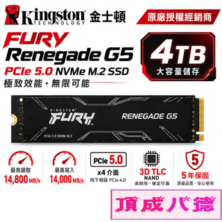 Kingston 金士頓 FURY Renegade G5 4TB 4T PCIe 5.0 NVMe M.2 SSD