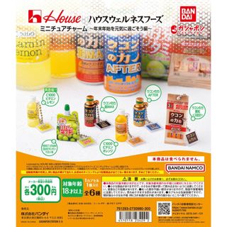 BANDAI House Wellness Foods迷你吊飾 薑黃能量超級 MAX AFTER 日本帶回 全新 扭蛋