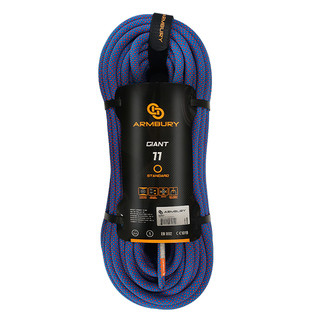 美國 ARMBURY GIANT 11 動力繩 11mm