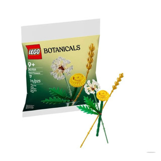【LEGO WORLD】樂高 30701 清新野花 Lego Polybag