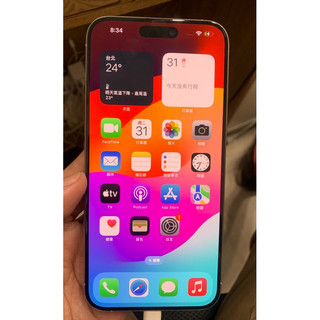 Apple iPhone 15 Pro Max 512G 白色 iOS:17.6.1 原廠台版正品