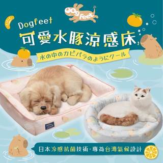 【寵物涼感床】 DF 極致涼感 圓形床 方形床 涼感墊 狗涼墊 貓涼墊 狗床 貓床 寵物睡床 可愛床窩