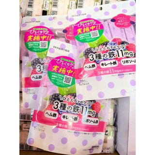 ☆新品現貨區2605☆✈️日本空運來台✈️🤩CT搶先賣商品🤩ITOH 井藤 漢方 補鐵 粉末 15日分 三種鐵