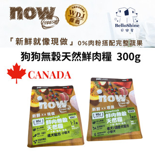 now 小型犬飼料 小型老犬飼料 鮮肉無穀天然糧 300g