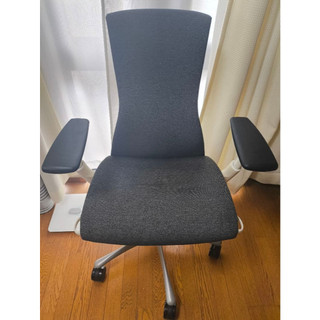 日本帶回-2010美製 Herman miller embody ハーマンミラー エンボディ