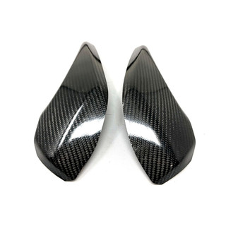 [CI-MOTORS]APRILIA RSV4 EXTREME COMPONENTS 碳纖維 油箱護蓋