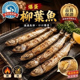 【張家海陸網】爆卵柳葉魚 200g 中和倉儲/快速出貨 純重💯無包冰含卵率達95% 柳葉魚 海鮮 魚