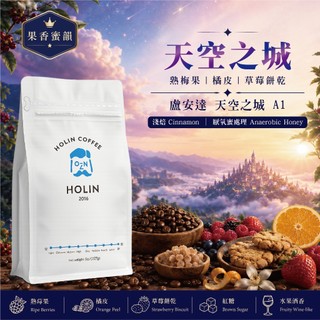 HOLIN【盧安達 天空之城 厭氧蜜 A1】現烘精品咖啡豆｜咖啡粉｜淺焙｜紅莓 柑橘 紅糖甜韻｜非洲單品 精品手沖必收