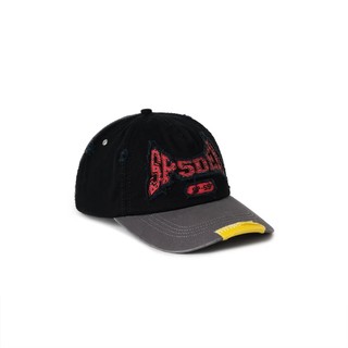 SP5DER Spider Worldwide T&F 6-PANEL Cap Brown 破壞 卯丁 棒球帽 帽子