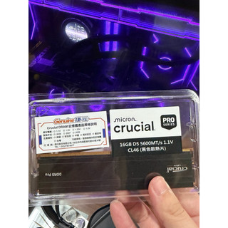 美光 Micron Crucial PRO DDR5 5600 16G