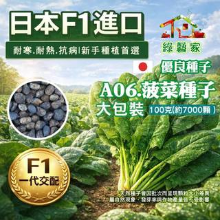 【綠藝家】大包裝A06 菠菜種子100克(約7000顆)藥劑處理 抗熱 抗寒 耐病 蔬菜種子 陽台種菜 園藝顆粒分明好