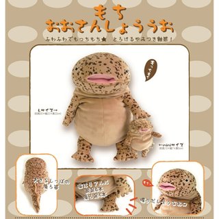 【守夜鴞】 日本正版 Morisaka Global 山椒魚 娃娃 吊飾 Shinada 娃娃抱枕 抱枕 軟Q觸感