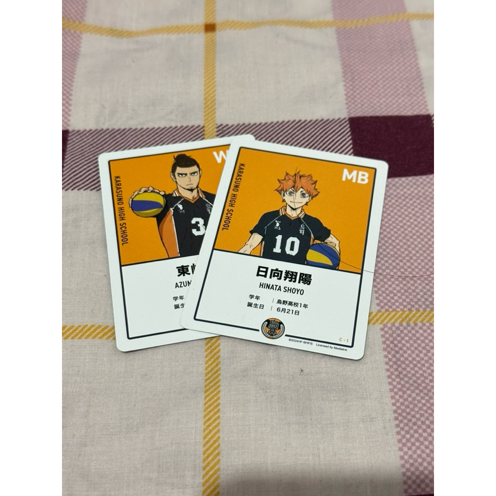 排球少年卡牌 東峰/日向 🔥 人氣角色收藏必備！