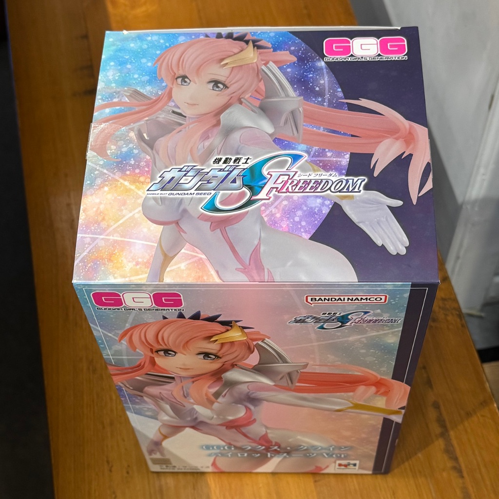 【哈啾吉玩聚】MegaHouse GGG 機動戰士鋼彈 SEED FREEDOM 拉克絲 克萊因 駕駛員服 PVC