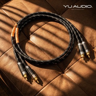 【現貨秒出】碳纖維鍍銀線 RCA音源線 雙RCA 2RCA 音訊訊號線 音響線 重低音線 二對二 發燒線 AV連接