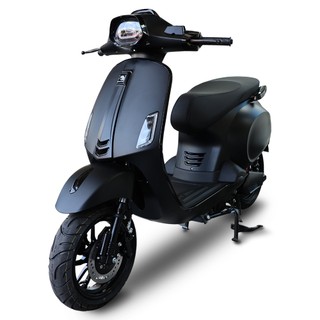 【向銓】電火 大偉士 微型電動二輪車/電動自行車PEG-088/電火 A11 (30Ah鋰電池版)