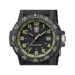【現貨】特價中 LUMINOX 雷明時 海龜系列 喜歡 AP x swatch Royal pop 參考看看
