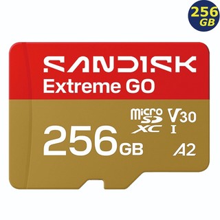 SanDisk 256G 256GB microSD extreme GO 240MB SDSQXGN-256G 記憶卡