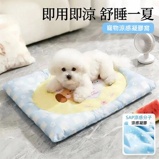 現貨免運🐾【寵物冰窩冰墊】涼感寵物冰墊冰窩 半封閉安全感設計 防水可水洗貓咪狗狗避暑神器 快速降溫不熱 小型犬貓夏天專用