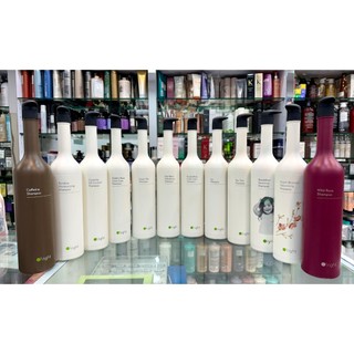 便宜生活館【洗髮精】歐萊德 O'right 枸杞 蒲公英兒童溫和 低敏 茶花控油 香檳玫瑰護色 紫玫瑰護色 茶樹 洗髮精