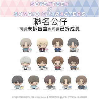 SEVENTEEN×SANRIO 三麗鷗聯名公仔 SEVENTEEN盲盒 日本公仔 CHARACTERS