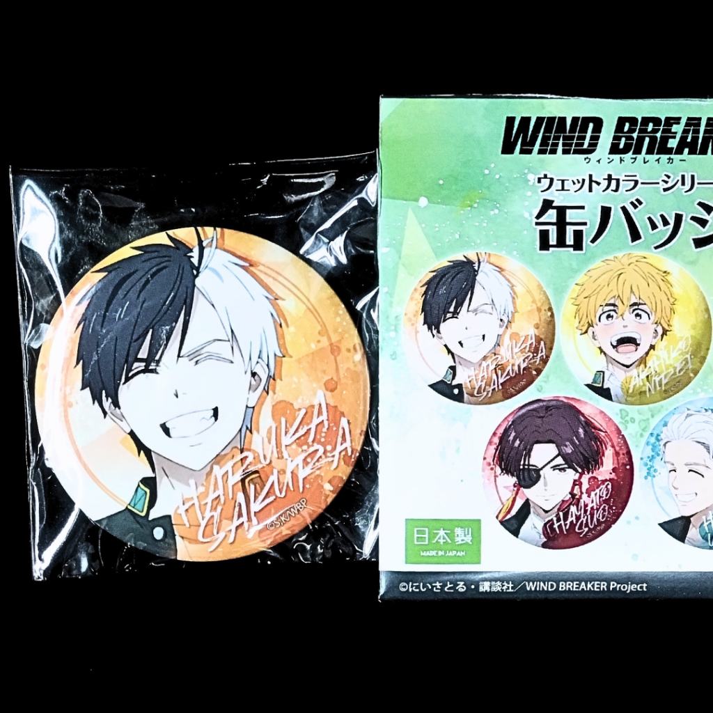 【現貨➔】櫻遙 ㍙ 整圖𝟭𝟮𝟬 防風少年 徽章 正版 東風商店街 安利美特 吧唧 櫻遙 防風鈴
